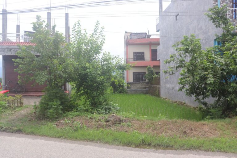 land for sale magani chowk parsa 768x512
