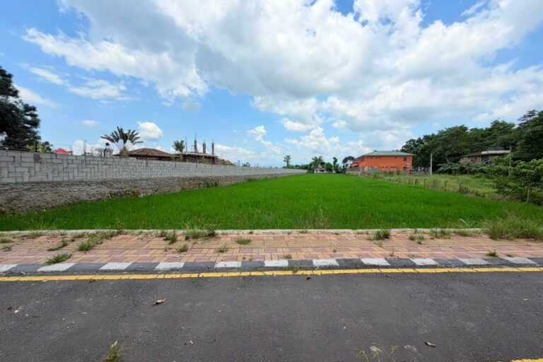 land for sale sauraha for hotel resort 768x512