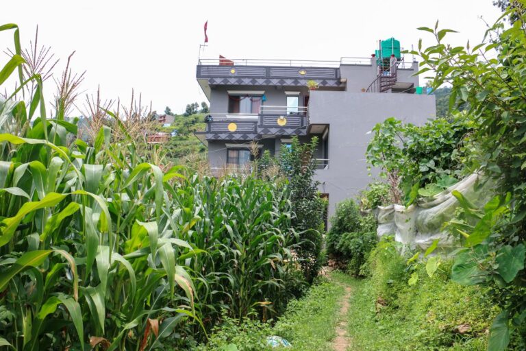 land for sale udathoki tole dahachowk 768x512