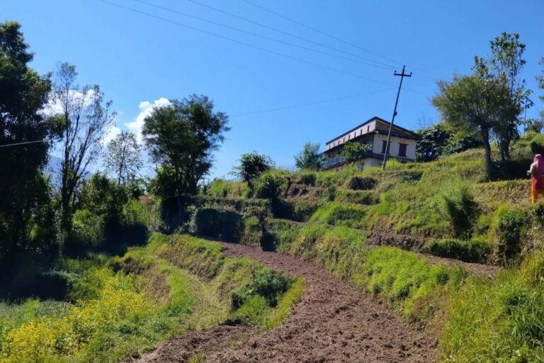 pakho jagga bikri sankhuwasabha madi 768x512