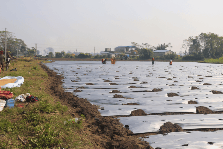 plot for sale bhimnagar chitwan 768x512