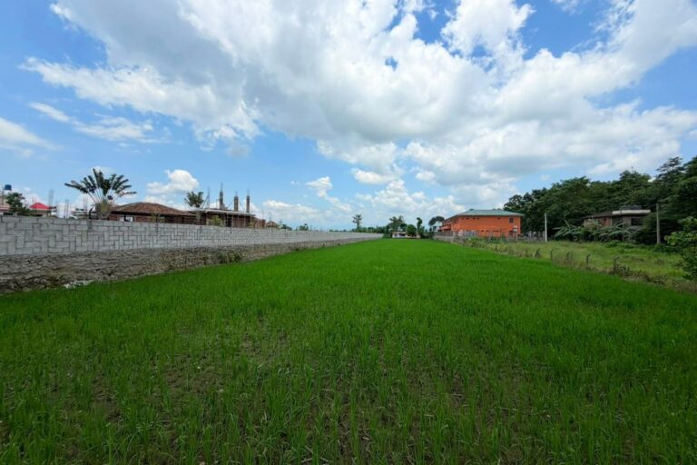 ratnanagar sauraha land sale 768x512