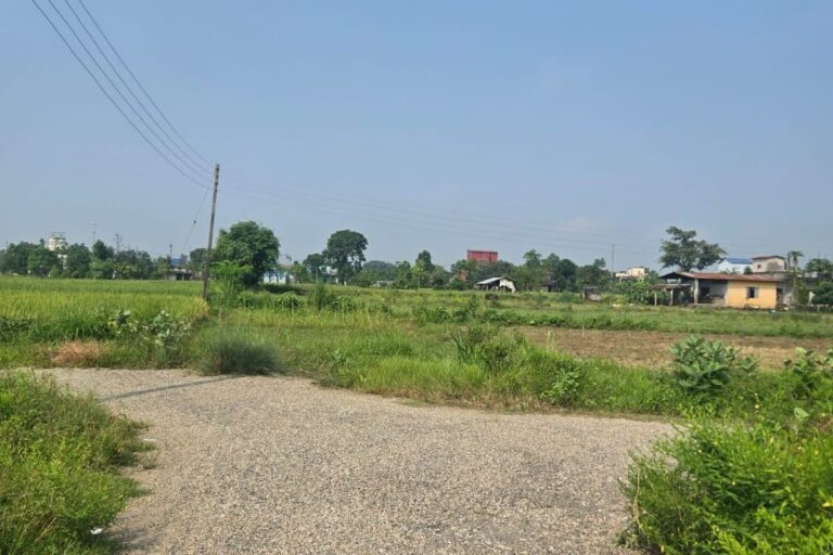 sasto ghaderi bikri chitwan chainpur 768x512