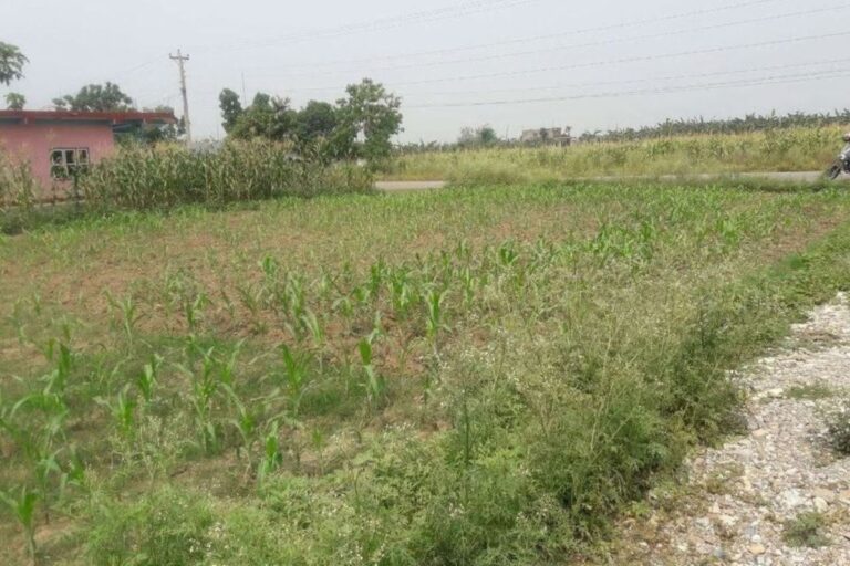 sasto ghaderi bikri chitwan padampur 10dhur 768x512