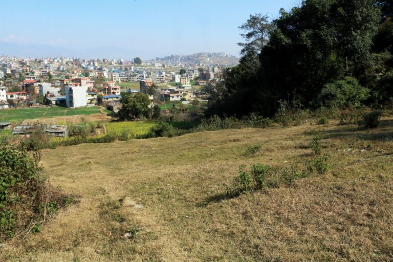 sasto ghaderi bikri machhaegaun 768x512