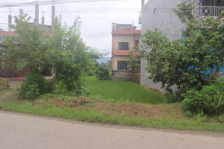 sasto ghaderi chitwan aprsa magani 768x512