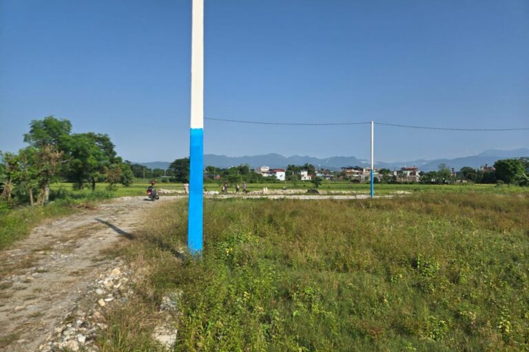 sasto ghaderi gaurigunj chitwan 768x512