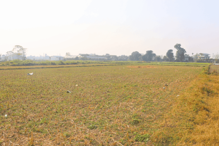 sasto jagga chitwan bhimnagar 768x512