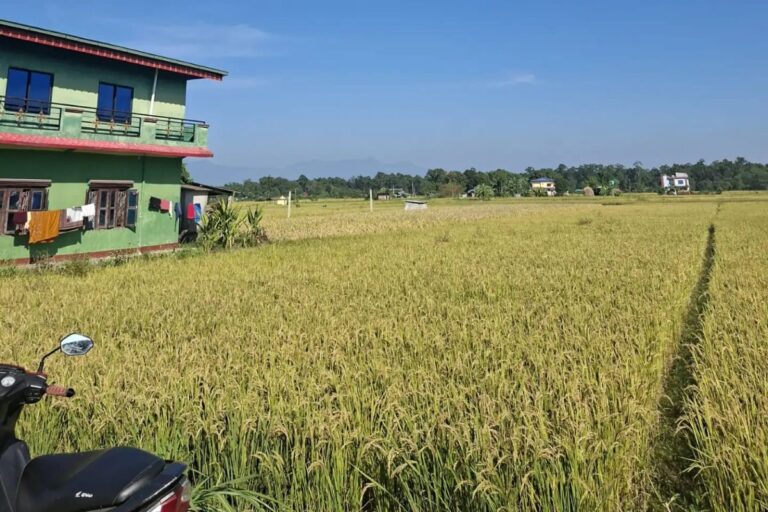 sasto jagga chitwan devnagar 768x512