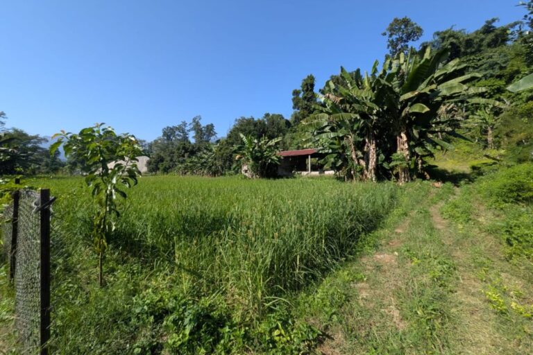 sasto jagga devghat tanhun 768x512