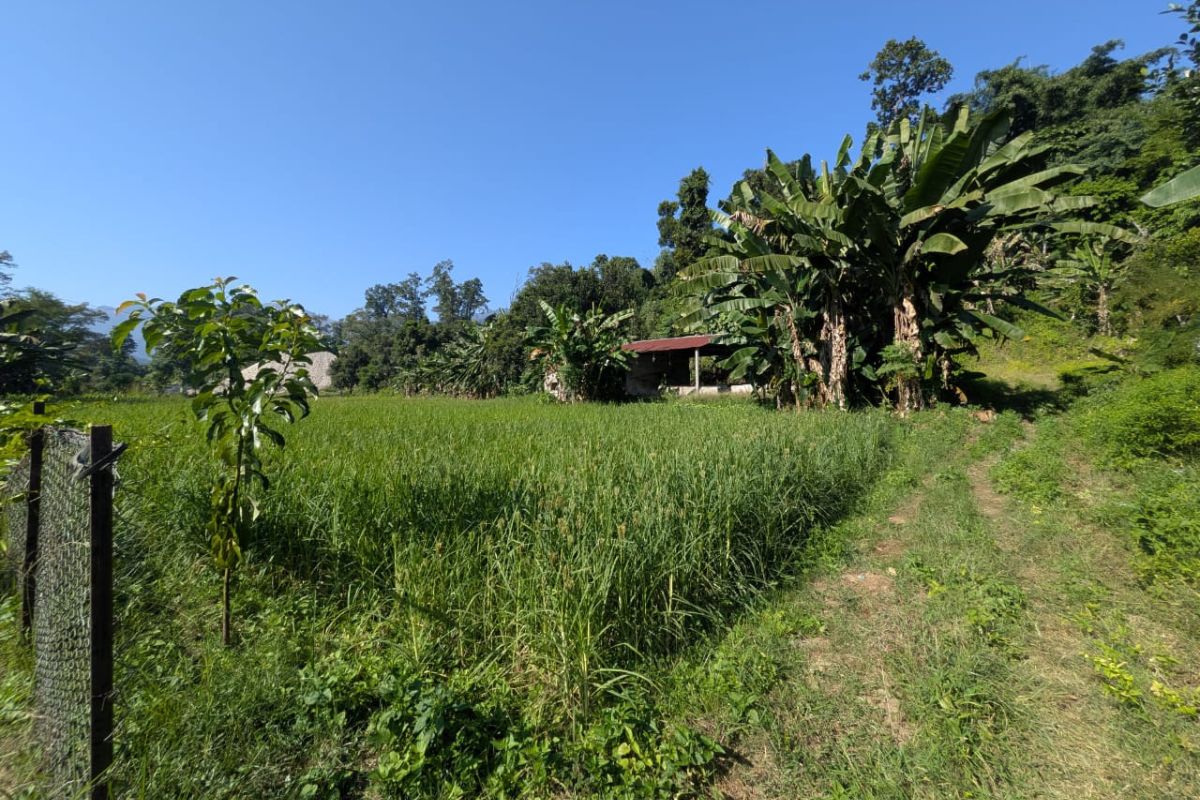 sasto jagga devghat tanhun