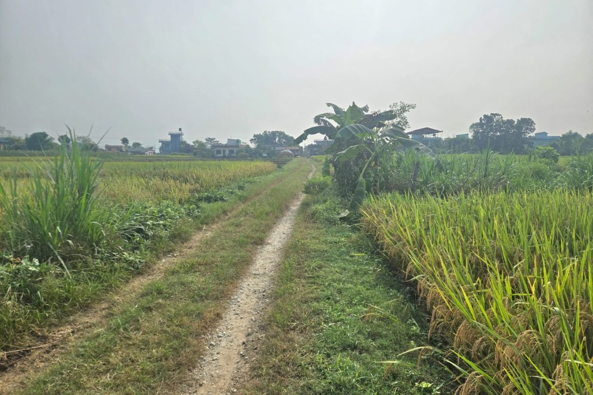 sasto jagga jirouna ratnanagar
