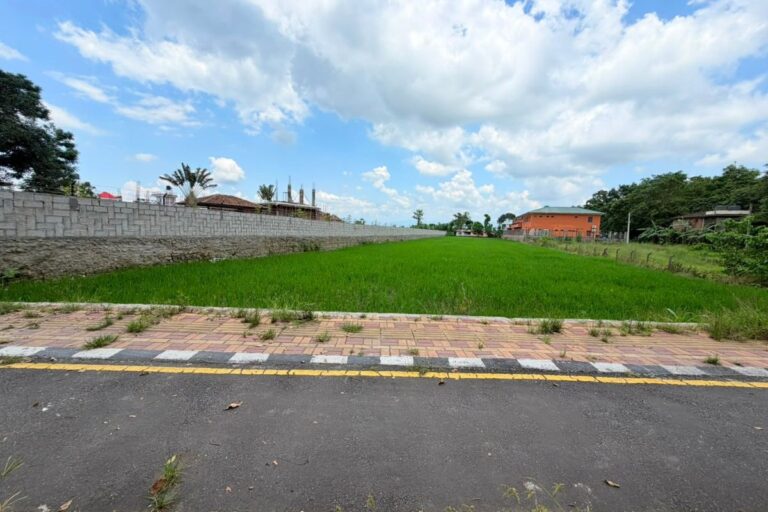 tourist hotel land sale sauraha 768x512