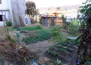 Jorpati, Ward No. 8, Gokarneshwor Nagarpalika, Kathmandu, Bagmati Nepal, ,Land,For sale - Properties,7367