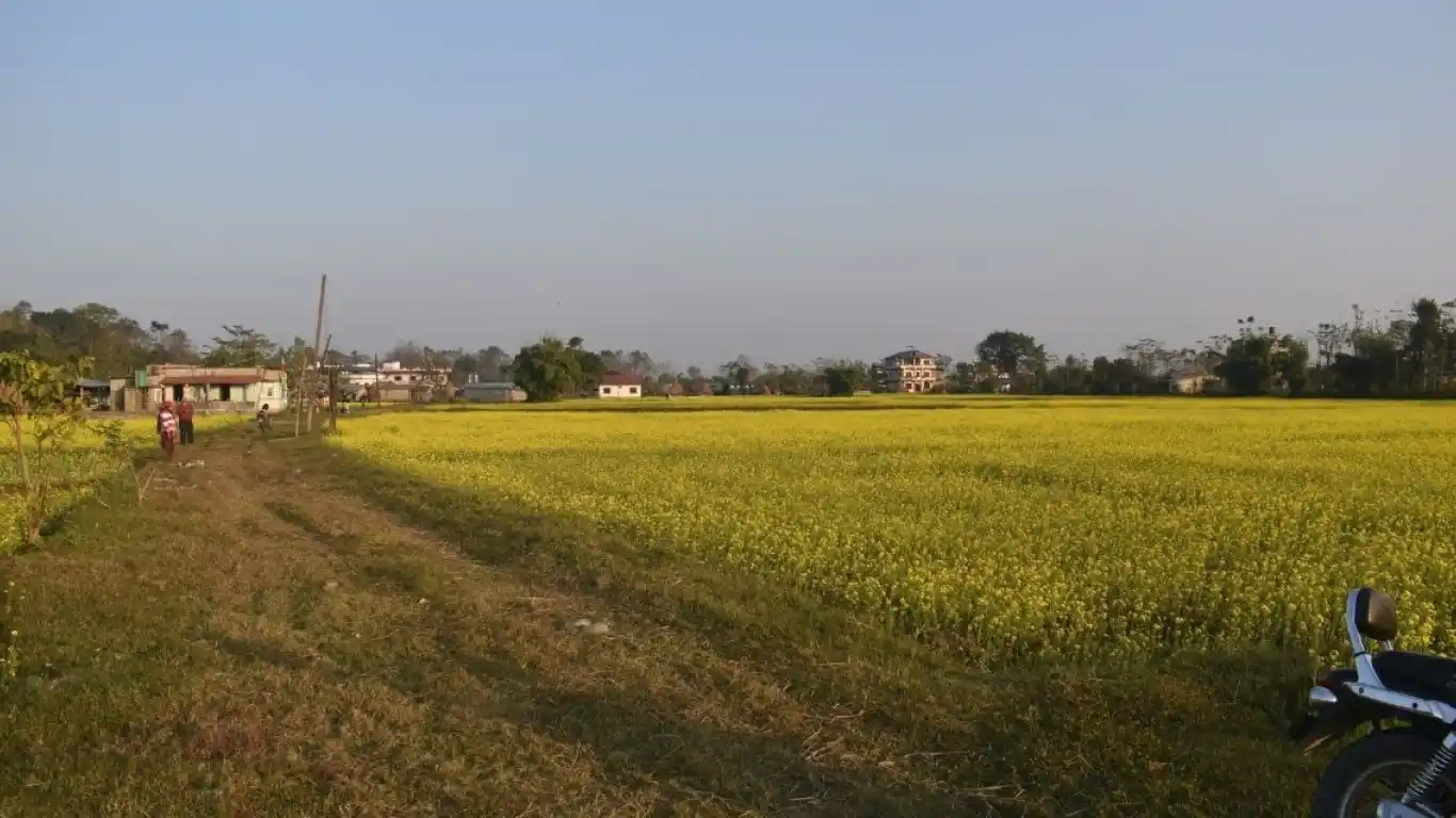 Sharanpur, Ward No. 16, Bharatpur Metropolitan City, Chitwan, Bagmati Nepal, ,Land,For sale - Properties,7666