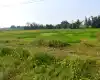 Barauji, Ward No. 14, Bharatpur Metropolitan City, Chitwan, Bagmati Nepal, ,Land,For sale - Properties,7757