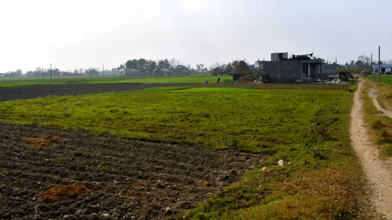 Bhimnagar, Ward No. 20, Bharatpur Metropolitan City, Chitwan, Bagmati Nepal, ,Land,For sale - Properties,7812