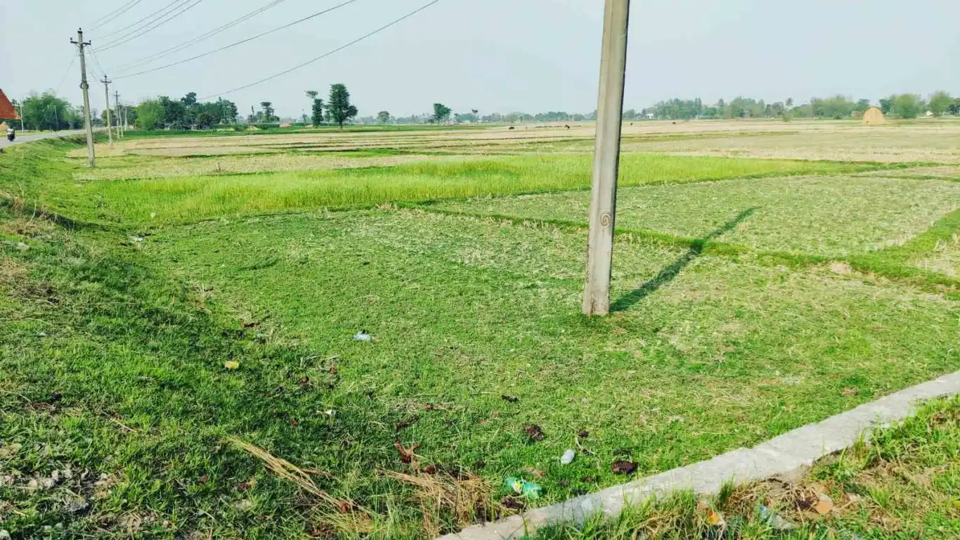 Dhimdhime chowk, Ward No.8, Gauradaha Nagarpalika, Jhapa, Pradesh 1 Nepal, ,Land,For sale - Properties,7910