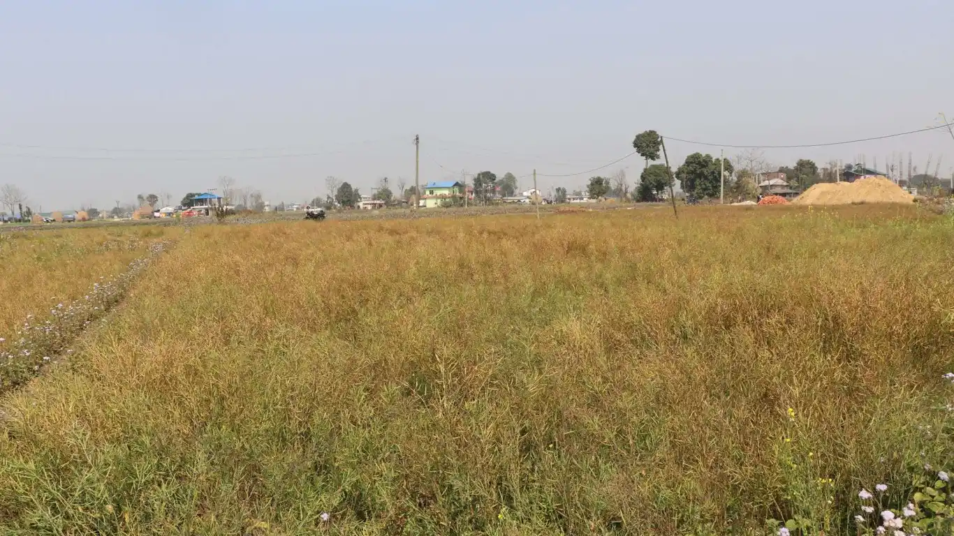 Kesharbag, Ward No. 6, Bharatpur Metropolitan City, Chitwan, Bagmati Nepal, ,Land,For sale - Properties,7968