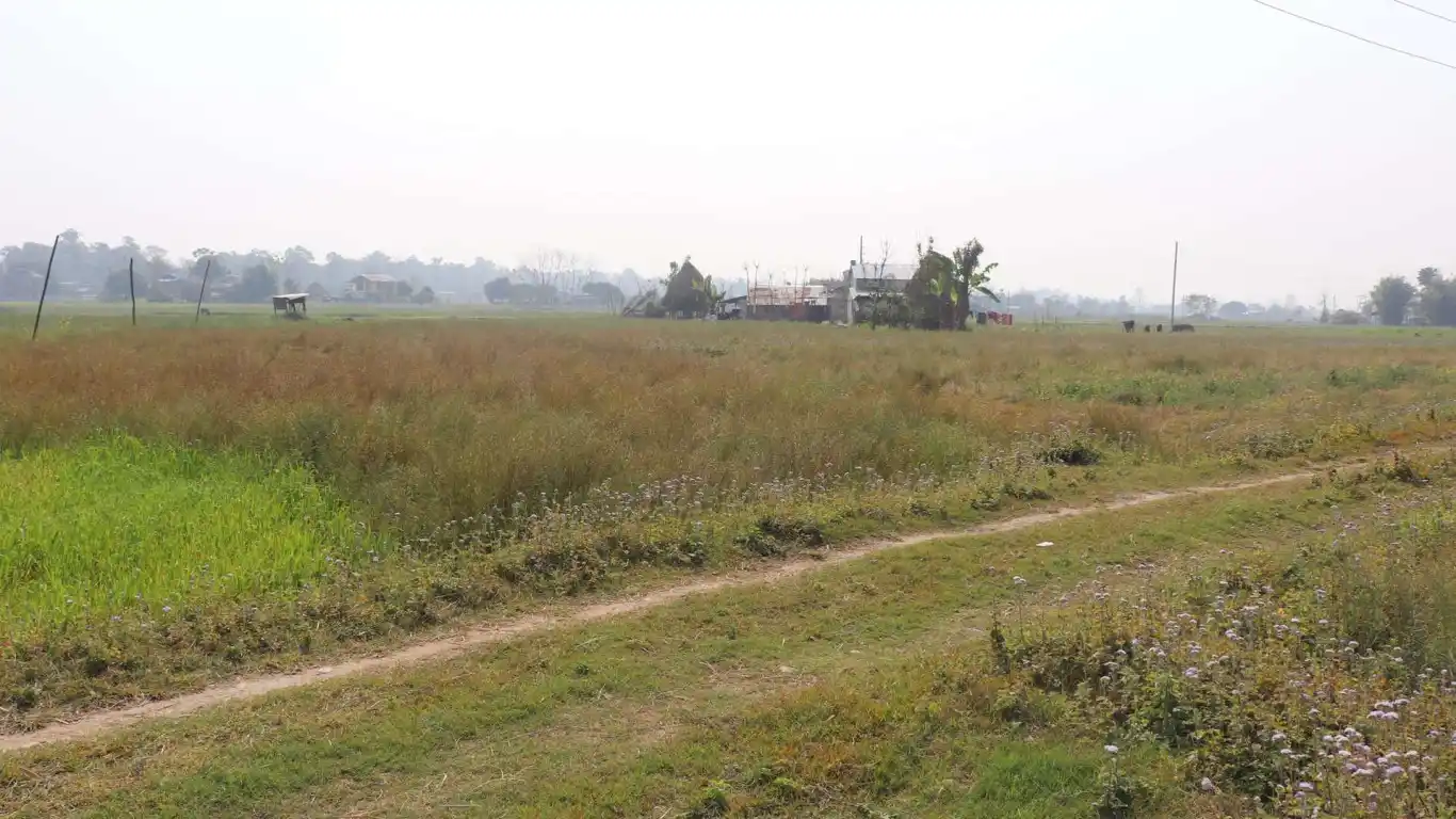 Kesharbag, Ward No. 6, Bharatpur Metropolitan City, Chitwan, Bagmati Nepal, ,Land,For sale - Properties,7968