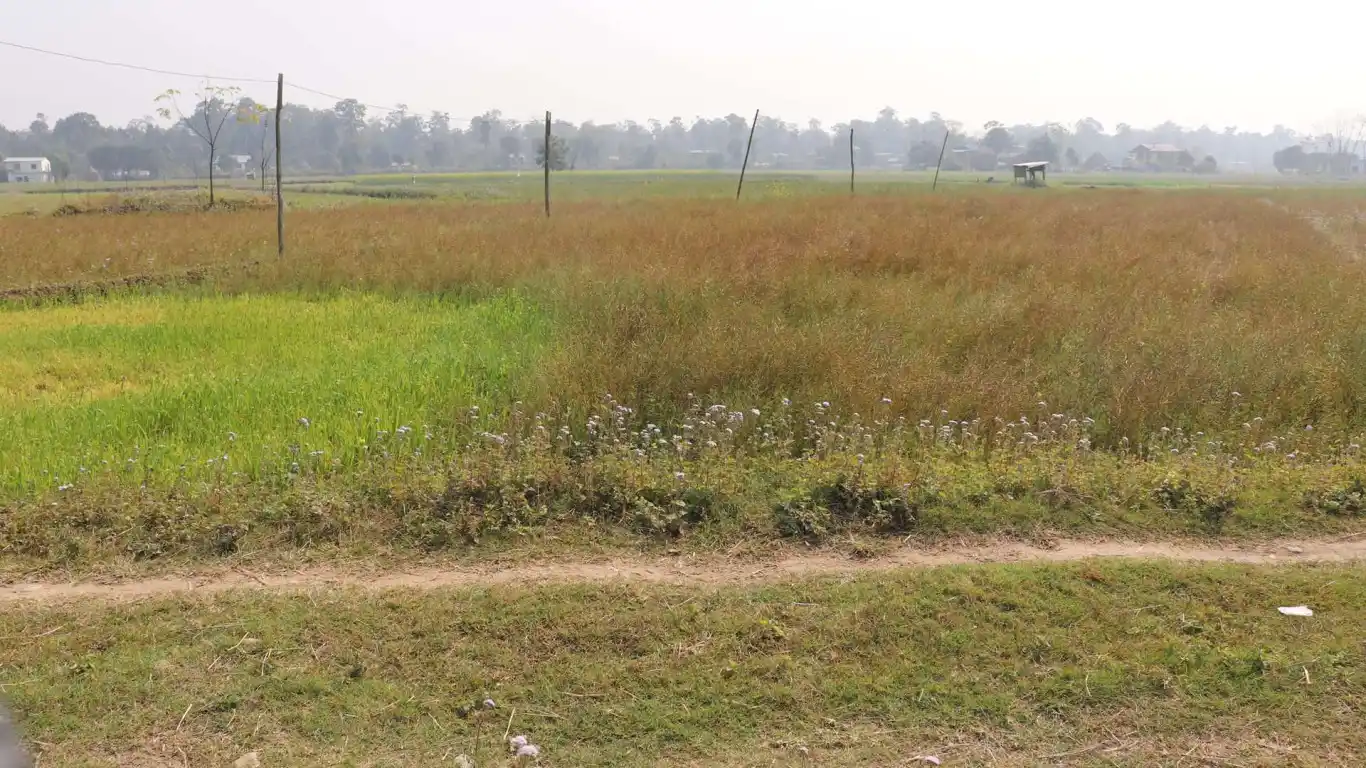 Kesharbag, Ward No. 6, Bharatpur Metropolitan City, Chitwan, Bagmati Nepal, ,Land,For sale - Properties,7968