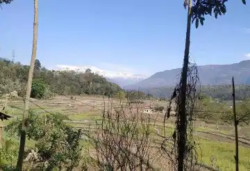 Juge Phaat, Ward No. 9, Bhanu Municipality, Tanhun, Gandaki Pradesh Nepal, ,Land,For sale - Properties,7983