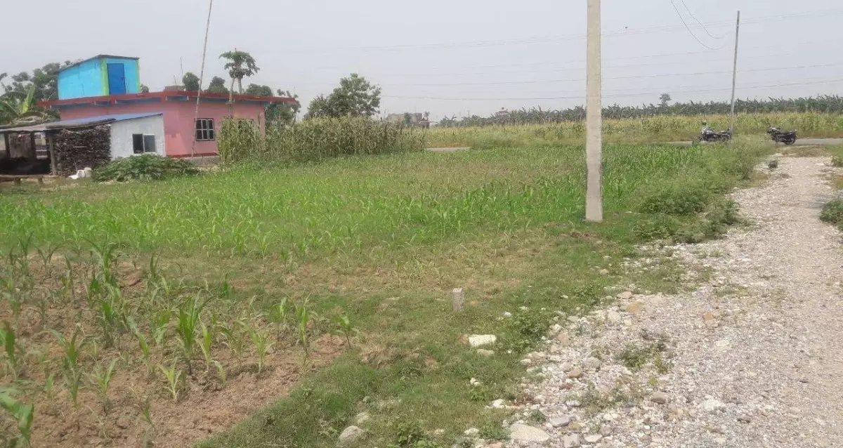 Padampur, Ward No. 5, Kalika Municipality, Chitwan, Pradesh 3 Nepal, ,Land,For sale - Properties,8029