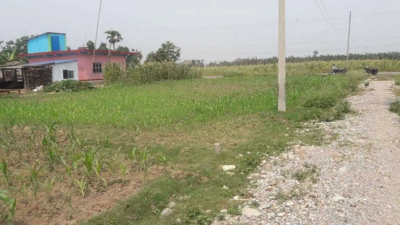 Padampur, Ward No. 5, Kalika Municipality, Chitwan, Pradesh 3 Nepal, ,Land,For sale - Properties,8029