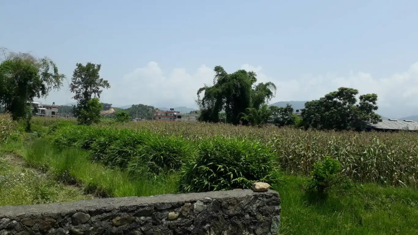 Dhungepatan, Ward No. 30, Pokhara Metropolitan City, Kaski, Gandaki Pradesh Nepal, ,Land,For sale - Properties,8047