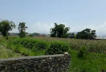 Dhungepatan, Ward No. 30, Pokhara Metropolitan City, Kaski, Gandaki Pradesh Nepal, ,Land,For sale - Properties,8047