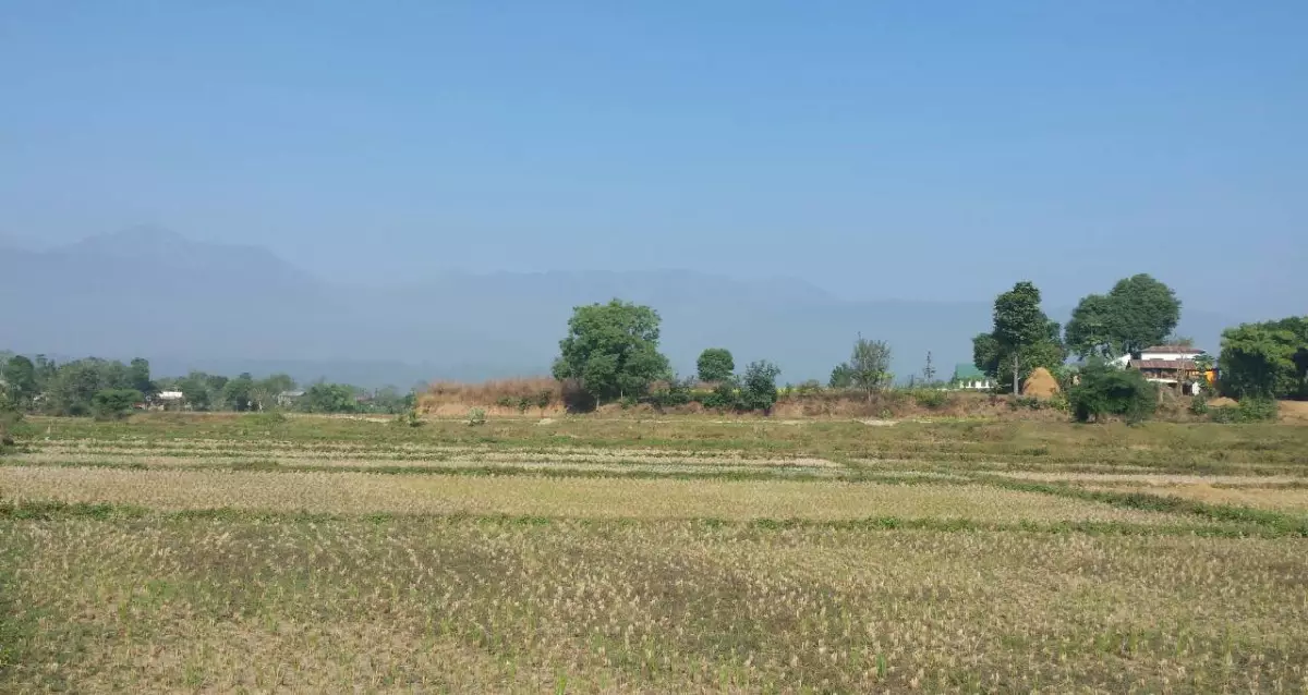Basantapur tole, Ward No. 17, Devchuli Municipality, Nawalpur, Gandaki Pradesh Nepal, ,Land,For sale - Properties,8050