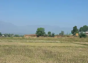 Basantapur tole, Ward No. 17, Devchuli Municipality, Nawalpur, Gandaki Pradesh Nepal, ,Land,For sale - Properties,8050