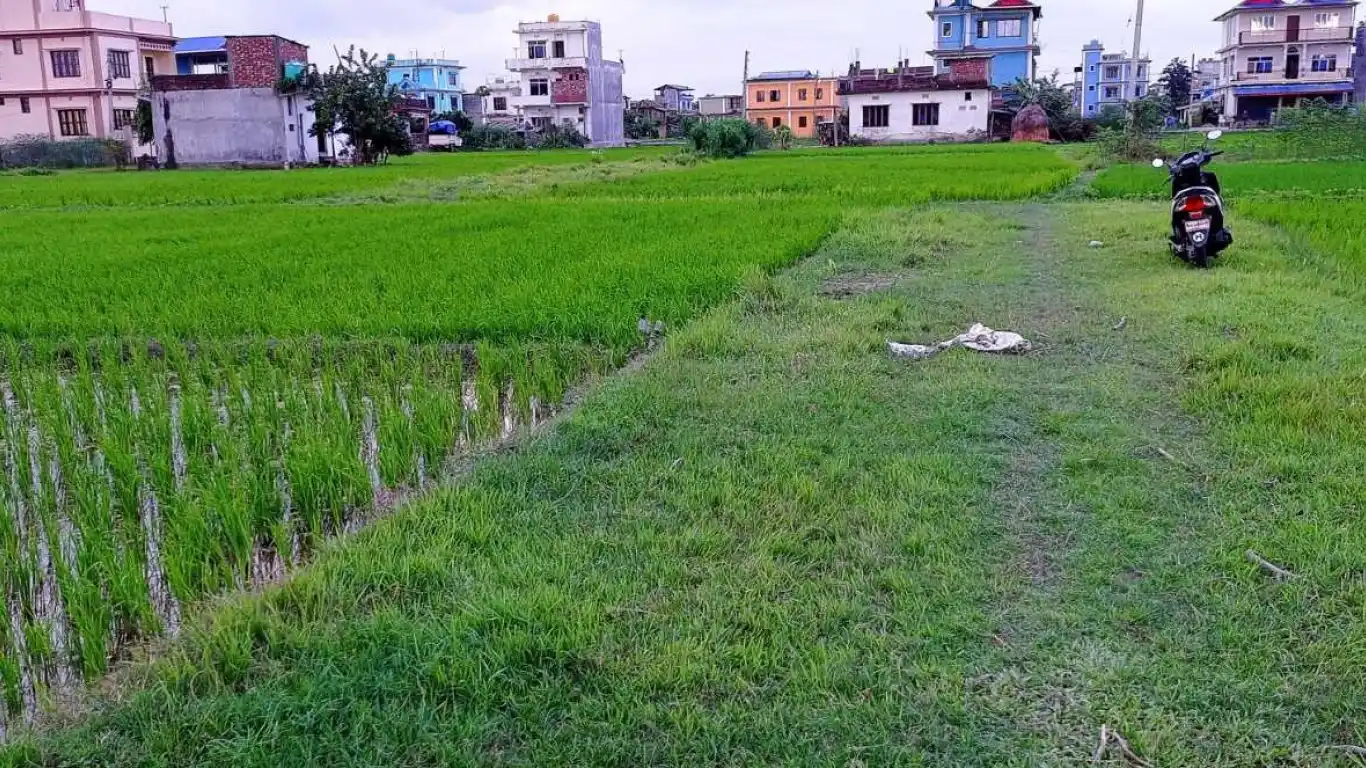 Tarahara, Hasposa, Ward No. 20, Itahari Sub Metropolitan City, Sunsari, Pradesh 1 Nepal, ,Land,For sale - Properties,8200