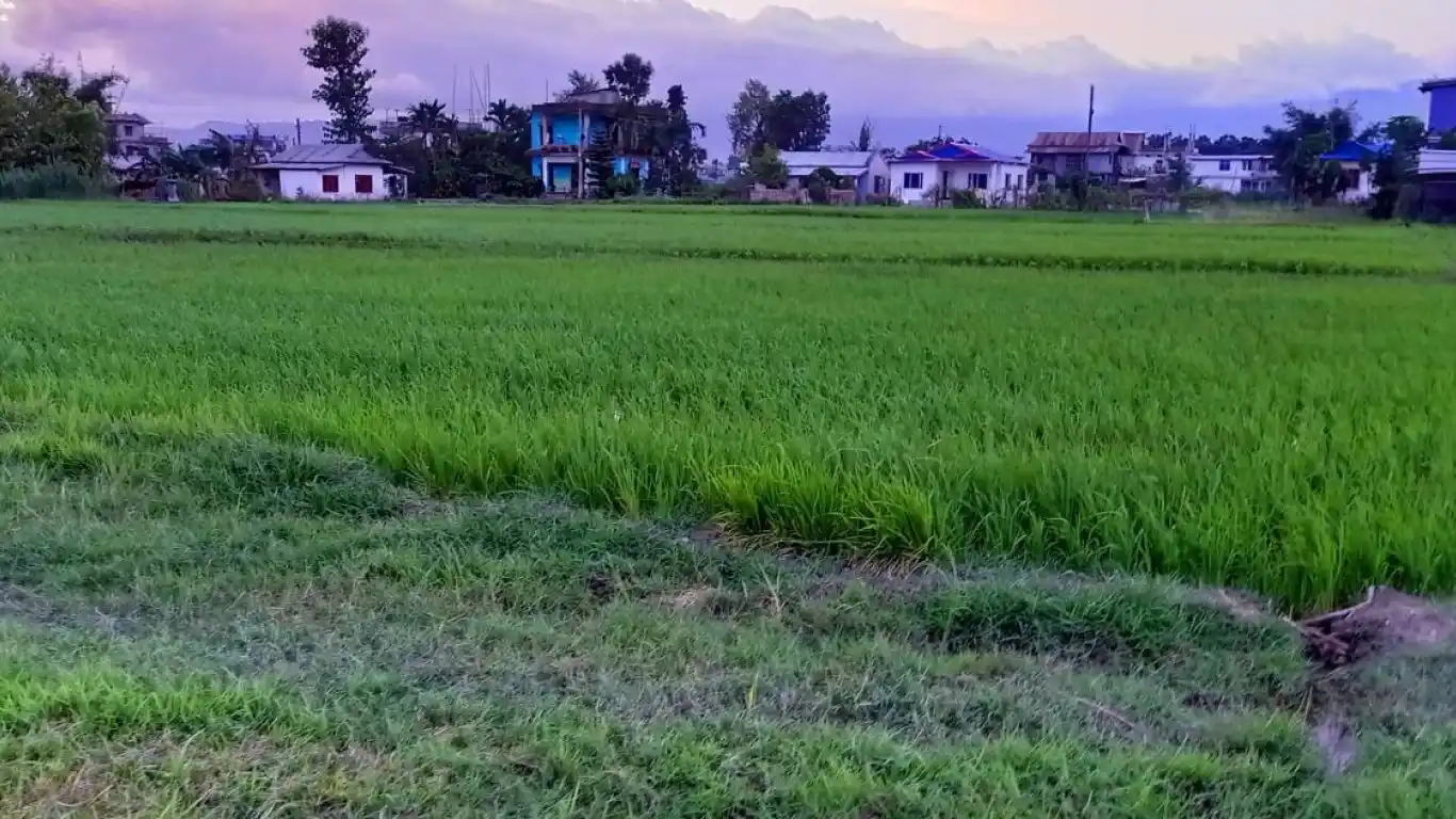 Tarahara, Hasposa, Ward No. 20, Itahari Sub Metropolitan City, Sunsari, Pradesh 1 Nepal, ,Land,For sale - Properties,8200