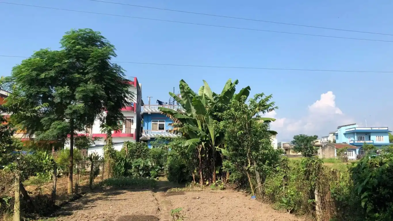 Jagriti Chowk, Ward No. 12, Bharatpur Metropolitan City, Chitwan, Bagmati Nepal, 4 Bedrooms Bedrooms, 6 Rooms Rooms,3 BathroomsBathrooms,House,For sale - Properties,8205