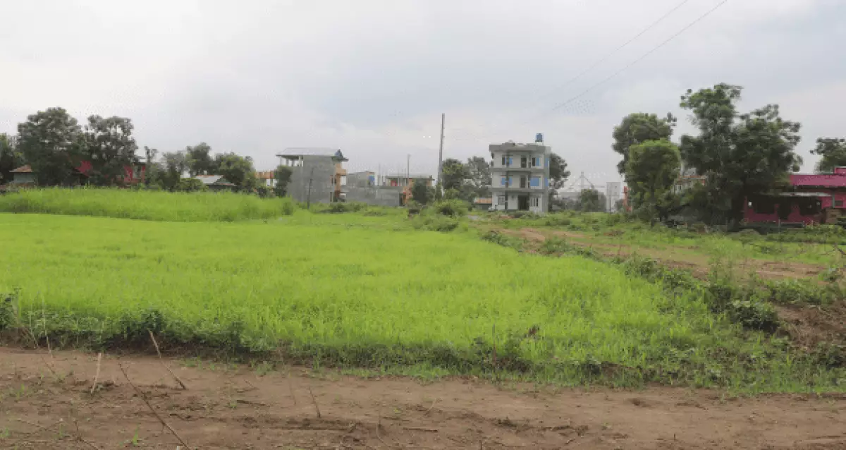 Kalyanpur, Ward No. 5, Bharatpur Metropolitan City, Chitwan, Bagmati Nepal, ,Land,For sale - Properties,8211