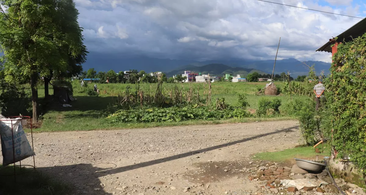 Laurioghol, Ward No 14, Ratnanagar Municipality, Chitwan, Bagmati Nepal, ,Land,For sale - Properties,8213