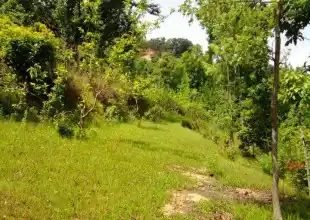 Mahesh Phaat, Ward No. 2, Dhunibesi Municipality, Dhading, Bagmati Nepal, ,Land,For sale - Properties,8218