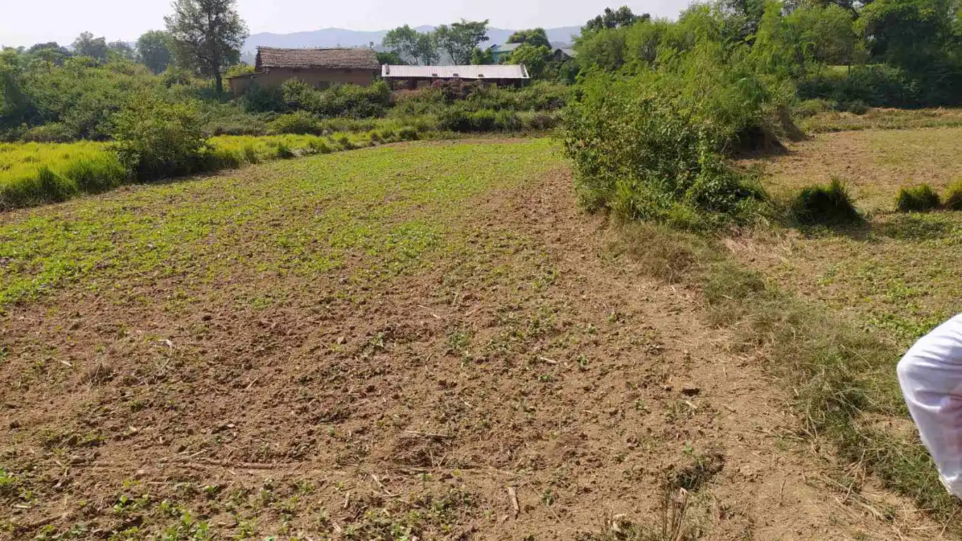 Sitalpur, Ward No. 11, Tulsipur Sub-Metropolitan City, Dang, Lumbini Nepal, ,Land,For sale - Properties,8221