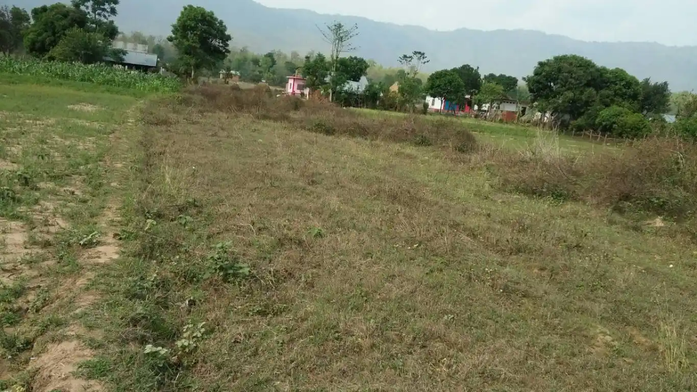 Bangeshal, Ward No .01, Sarumarani gaupalika, Pyuthan, Pradesh 5 Nepal, ,Land,For sale - Properties,8237