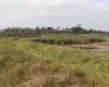 Kumiya, Patihani Bazar, Ward No. 22, Bharatpur Metropolitan City, Chitwan, Pradesh 3 Nepal, ,Land,For sale - Properties,8268