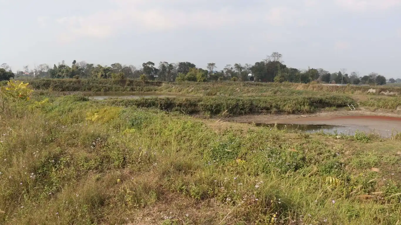 Kumiya, Patihani Bazar, Ward No. 22, Bharatpur Metropolitan City, Chitwan, Pradesh 3 Nepal, ,Land,For sale - Properties,8268