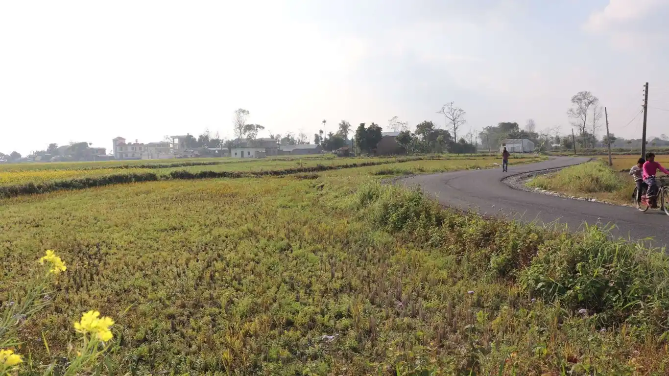 Kumiya, Patihani Bazar, Ward No. 22, Bharatpur Metropolitan City, Chitwan, Pradesh 3 Nepal, ,Land,For sale - Properties,8268