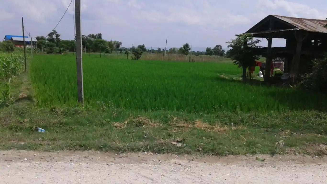 Rijal tole, Brahmanagar, Ward No . 11, Rapti Municipality, Chitwan, Pradesh 3 Nepal, ,Land,For sale - Properties,8272