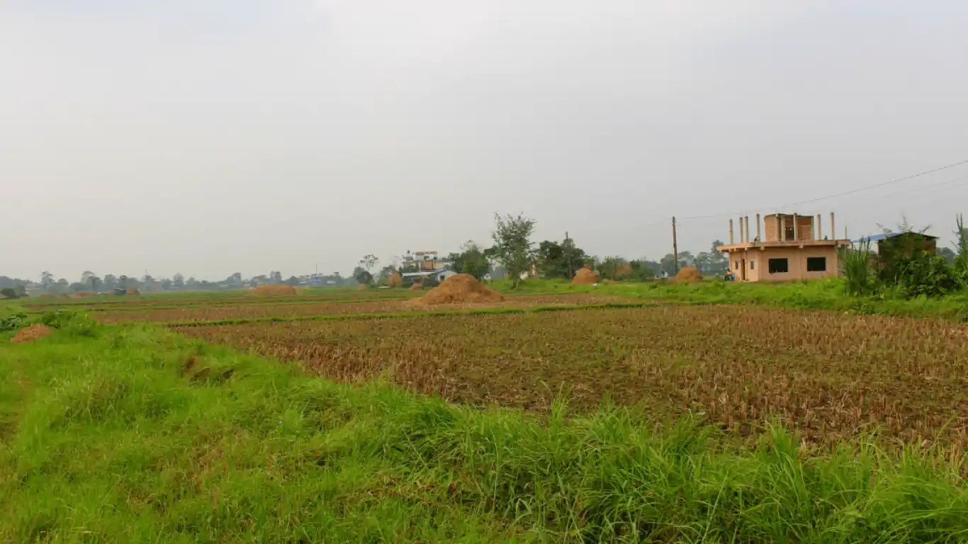 Surtana, Ward No. 7, Khairahani Municipality, Chitwan, Bagmati Nepal, ,Land,For sale - Properties,8280