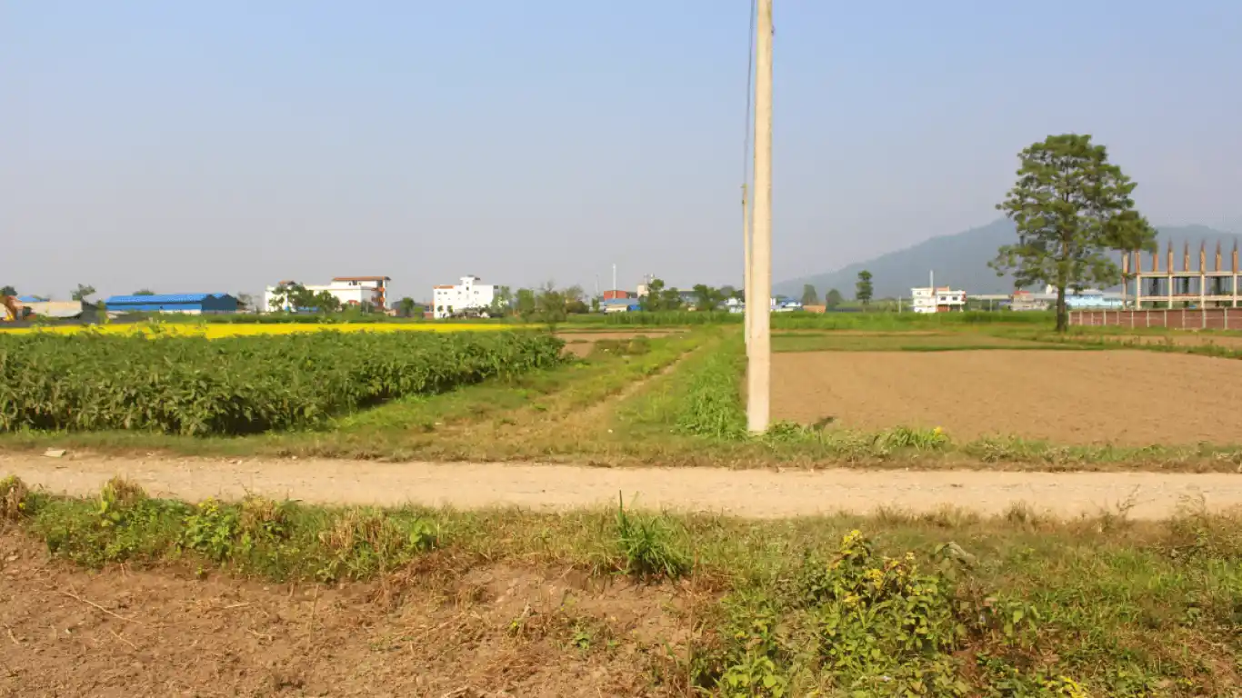 Bindawasini, Ward No. 2, Khairahani Municipality, Chitwan, Bagmati Nepal, ,Land,For sale - Properties,8331