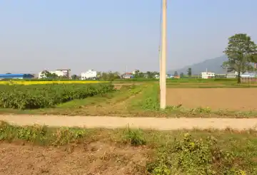 Bindawasini, Ward No. 2, Khairahani Municipality, Chitwan, Bagmati Nepal, ,Land,For sale - Properties,8331