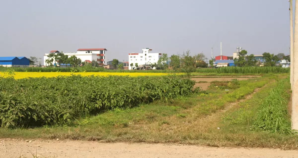 Bindawasini, Ward No. 2, Khairahani Municipality, Chitwan, Bagmati Nepal, ,Land,For sale - Properties,8331