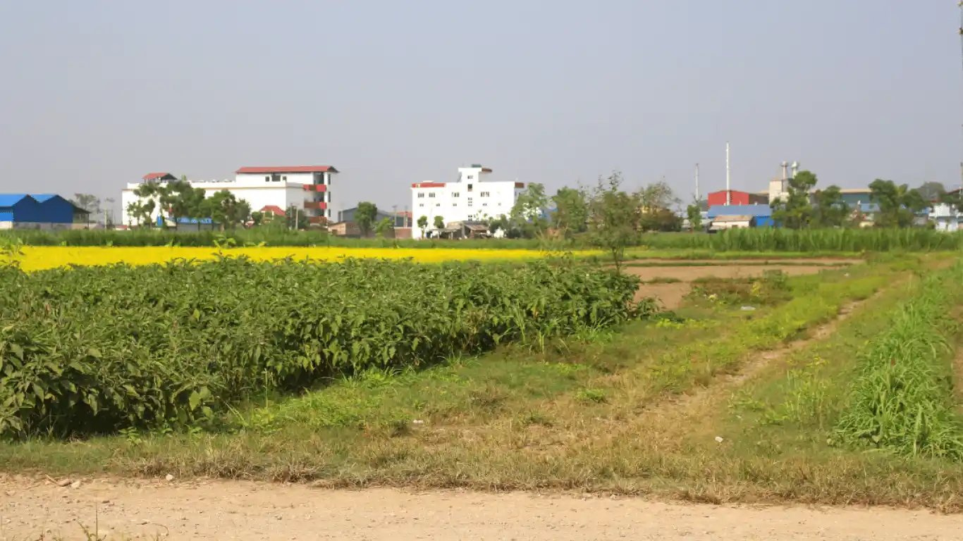 Bindawasini, Ward No. 2, Khairahani Municipality, Chitwan, Bagmati Nepal, ,Land,For sale - Properties,8331