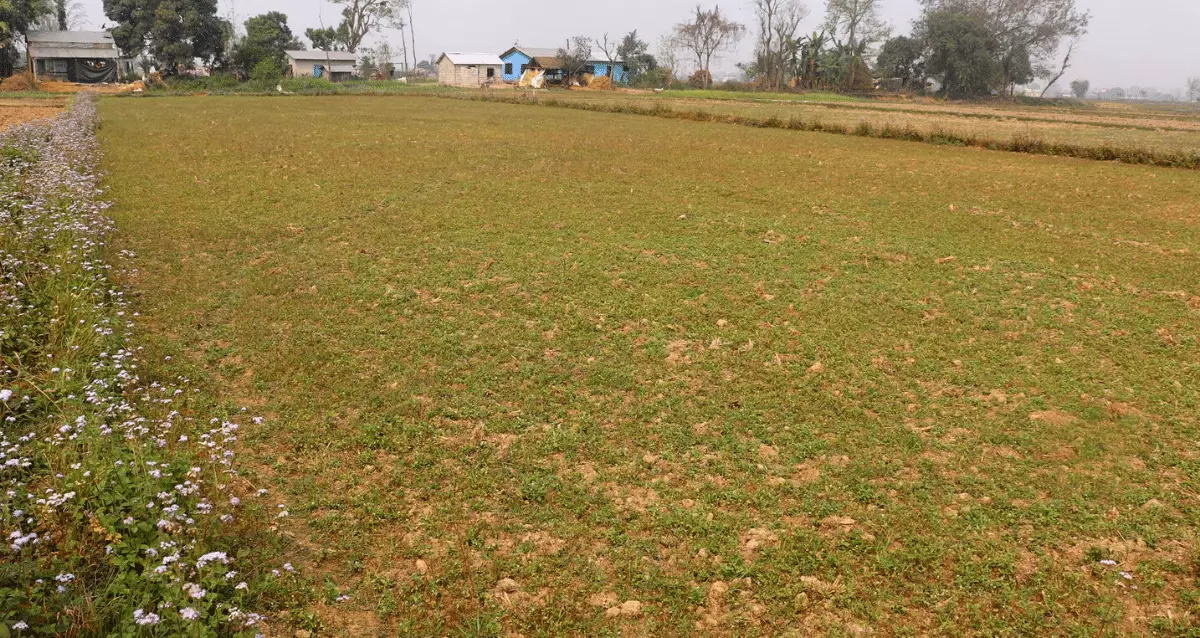 Ghokrela, Kumroj, Ward No. 11, Khairahani Municipality, Chitwan, Bagmati Nepal, ,Land,For sale - Properties,8333